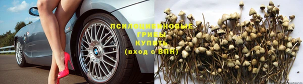не бодяженный Болхов