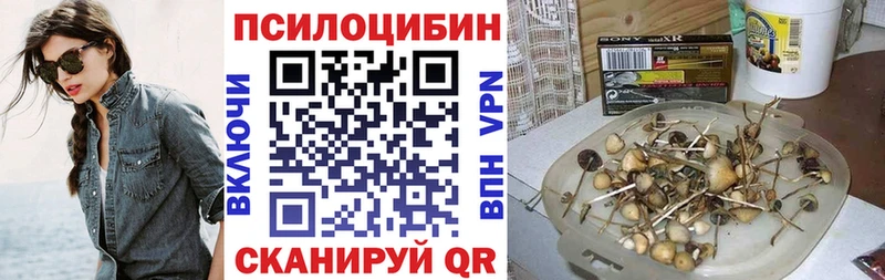 Галлюциногенные грибы MAGIC MUSHROOMS  цены наркотик  Приморск 